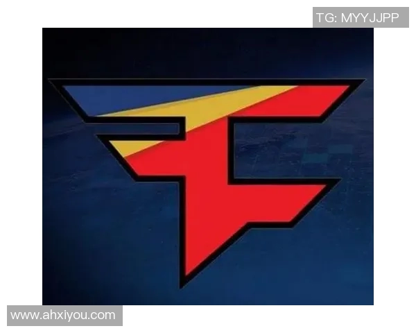 深入剖析FPX战队在CSGO中的防守与反击策略解析